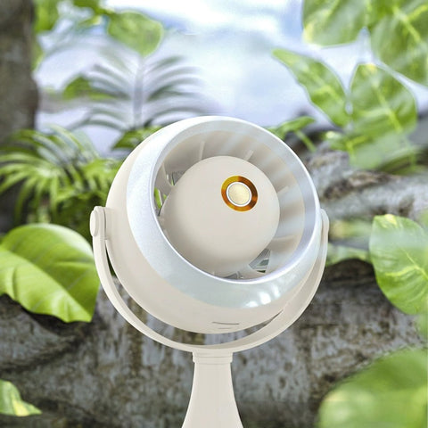 Portable Desk Fan