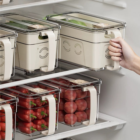 Refrigerator container with drain insert and timer