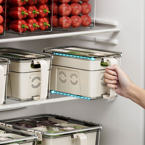 Refrigerator container with drain insert and timer