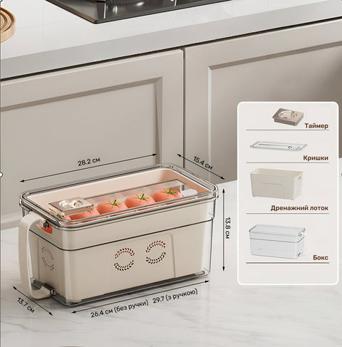 Refrigerator container with drain insert and timer