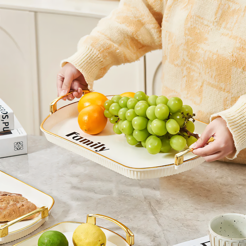 Stylish Tray with Elegant Handles